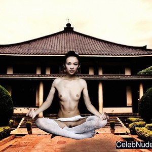 Zhang Ziyi Naked Celebrity Pic sexy 18 