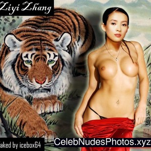 Zhang Ziyi Naked Celebrity Pic sexy 13 
